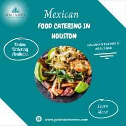 Feast with the Best | Food Catering in Houston