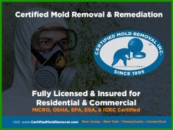 Certified Mold Removal Inc.