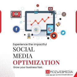 Social Media Optimization Company in Chicago