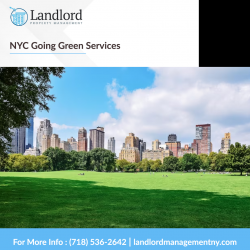 Nyc Going Green Services