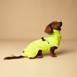 Dachshund Rain Coats