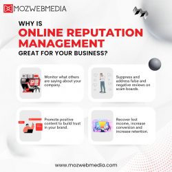 Moz Web Media Reviews