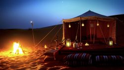 Liwa Oasis Tour