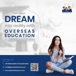 Top Overseas Education Consultants in Chennai – Ignited Edu Future