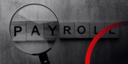 Payroll services: The benefits for small business.