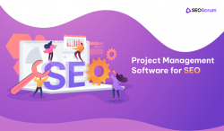 SEO Management Tool