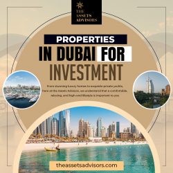 Investment Excellence Awaits: Your Gateway to Properties in Dubai!