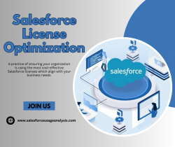 Get the Best Salesforce License Optimization – Salesforce Usage Analysis