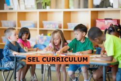 SEL Curriculum