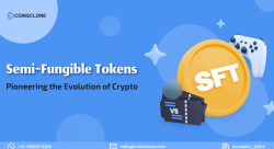 Semi Fungible Token (SFT) Development