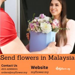 Myflower.my : Send flowers in Malaysia