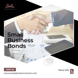 Small Business Bonds