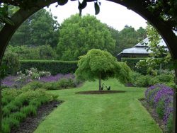 Transforming Southern Highlands Landscapes: Semms Property Services’ Garden Design