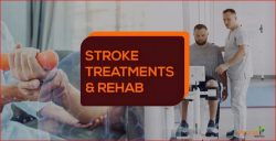 Stroke Treatment in Ayurveda