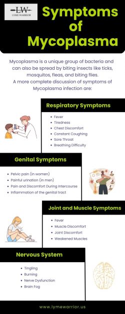 Mycoplasma Infection Symptoms