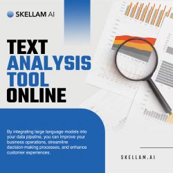 Supercharge Your Insights with Skellam’s Online Text Analysis Tool!