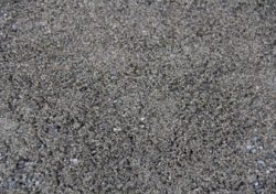 Turf Sand