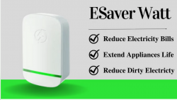 The Valuing & Assurance Strategy of ESaver Watt Reviews?