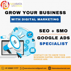 Digital Marketing company in Noida