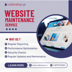 website maintenance services