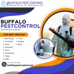 Looking for the Best Pest Control Technicians in Buffalo