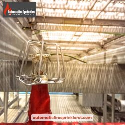 Investing in Fire Suppression: A Smart Business Move