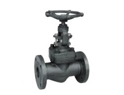 6 Inch Globe Valve