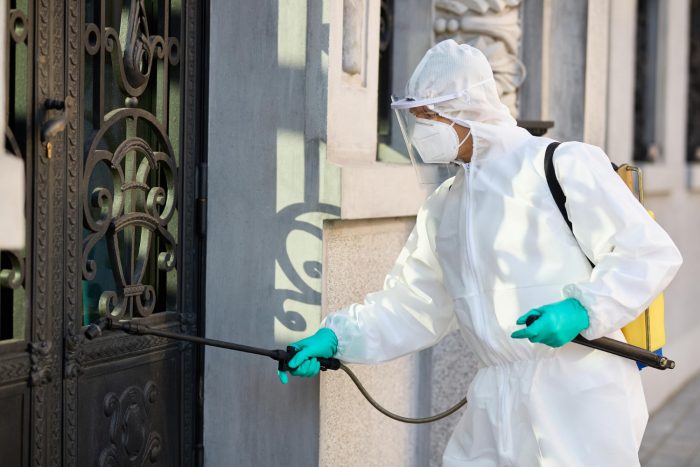 The Importance of Termite Inspection Ipswich for Commercial Properties