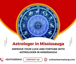 Improve Your Luck and Fortune With Astrologer in Mississauga