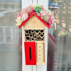 carpenter bee hive