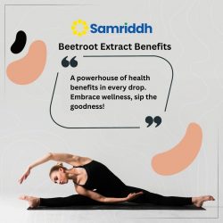 Unlocking Wellness: Samriddh Nutra’s Beetroot Extract Benefits for a Healthier You