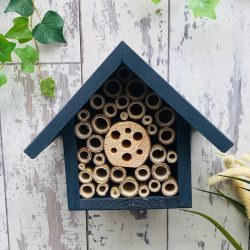 female carpenter bee