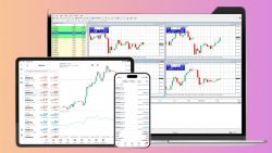 BelleoFX Broker: Get Success In The Forex Market