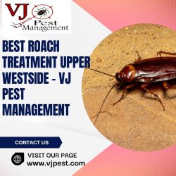 Best Roach Treatment Upper westside – VJ Pest Management