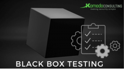 Black Box Security