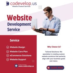 WEBSITE DEVLOPMENT SERVICES