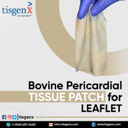 Bovine Pericardial Tissue Patch for Leaflet