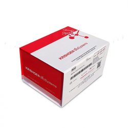 High-Quality Bovine Serum Albumin ELISA Kit – Krishgen Biosystems