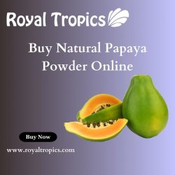 Buy Natural Papaya Powder Online