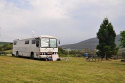 Unwind Amidst the Pristine Nature- Dorrigo National Park Accommodation Awaits You