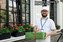 cannabis delivery services in DC