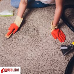 Carpet Cleaning Service NE Calgary: Safest Ways to Remove Stains