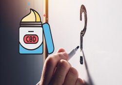 Boost Your CBD Brand: Expert CBD SEO Services for Enhanced Online Visibility