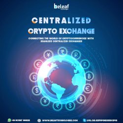 Centralized crypto exchange development