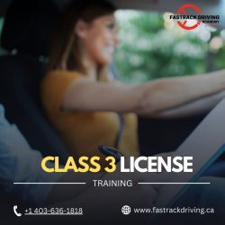 Class 3 License Training In Calgary NE: Top Qualities Of Instructor