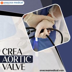 Crea Aortic Valve