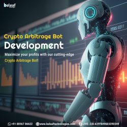 Crypto arbitrage bot development company