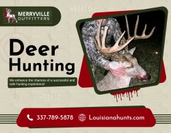 Deer Tracking Adventure