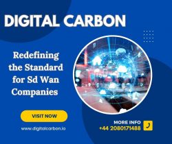 Digital Carbon – Redefining the Standard for Sd Wan Companies