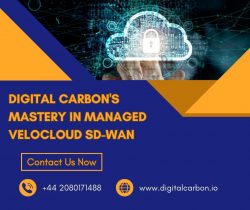 Digital Carbon’s Mastery in Managed VeloCloud SD-WAN